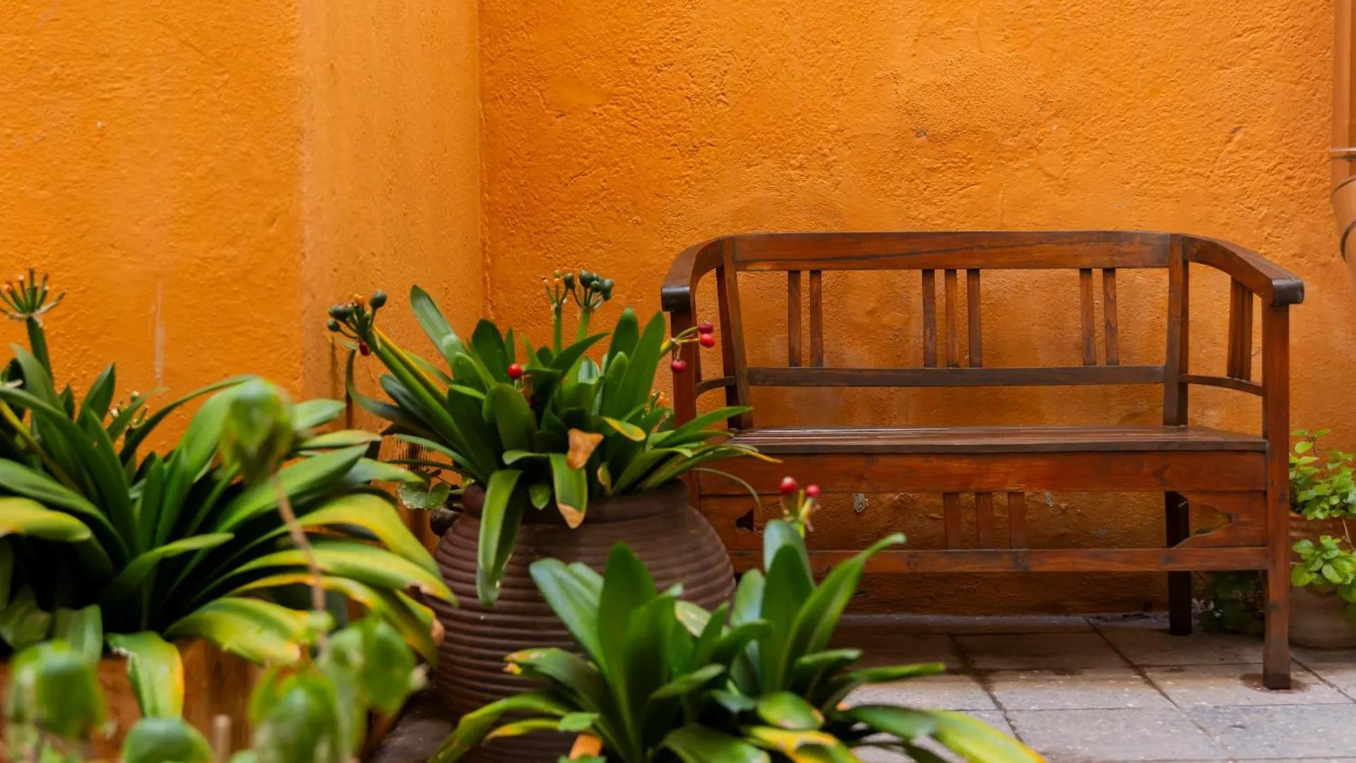 Hotel Tarongeta - Adults Only Cadaques